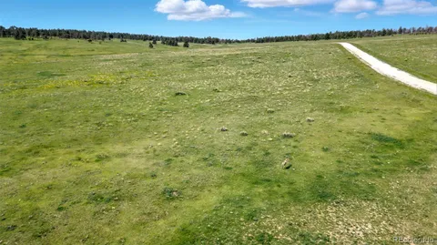 a view of a lake from a yard