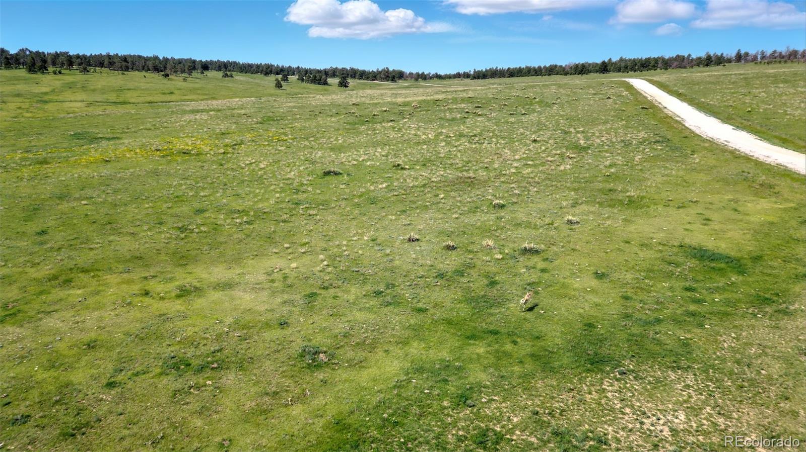 91 Parcel County Road, Unit 4 Ramah, CO 80832 - Photo 20 of 27 a view of a lake from a yard