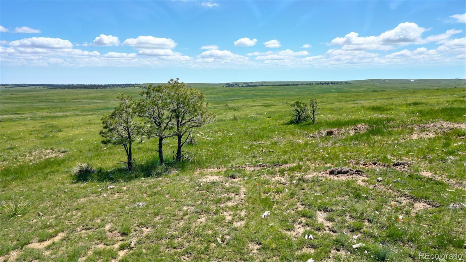 91 Parcel County Road, Unit 4 Ramah, CO 80832 - Photo 23 of 27 a view of an ocean and beach