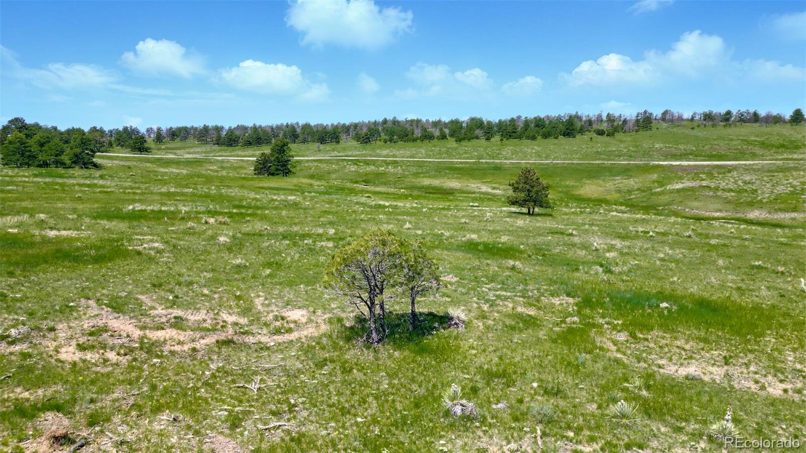 91 Parcel County Road, Unit 4 Ramah, CO 80832 - Photo 24 of 27 a view of a lake from a yard