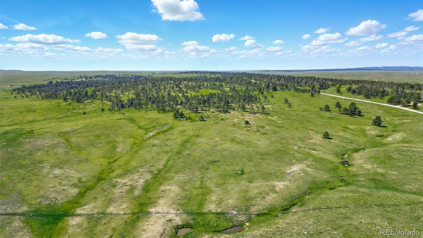 91 Parcel County Road, Unit 4 Ramah, CO 80832 - Photo 5 of 27 a view of an outdoor space and a yard