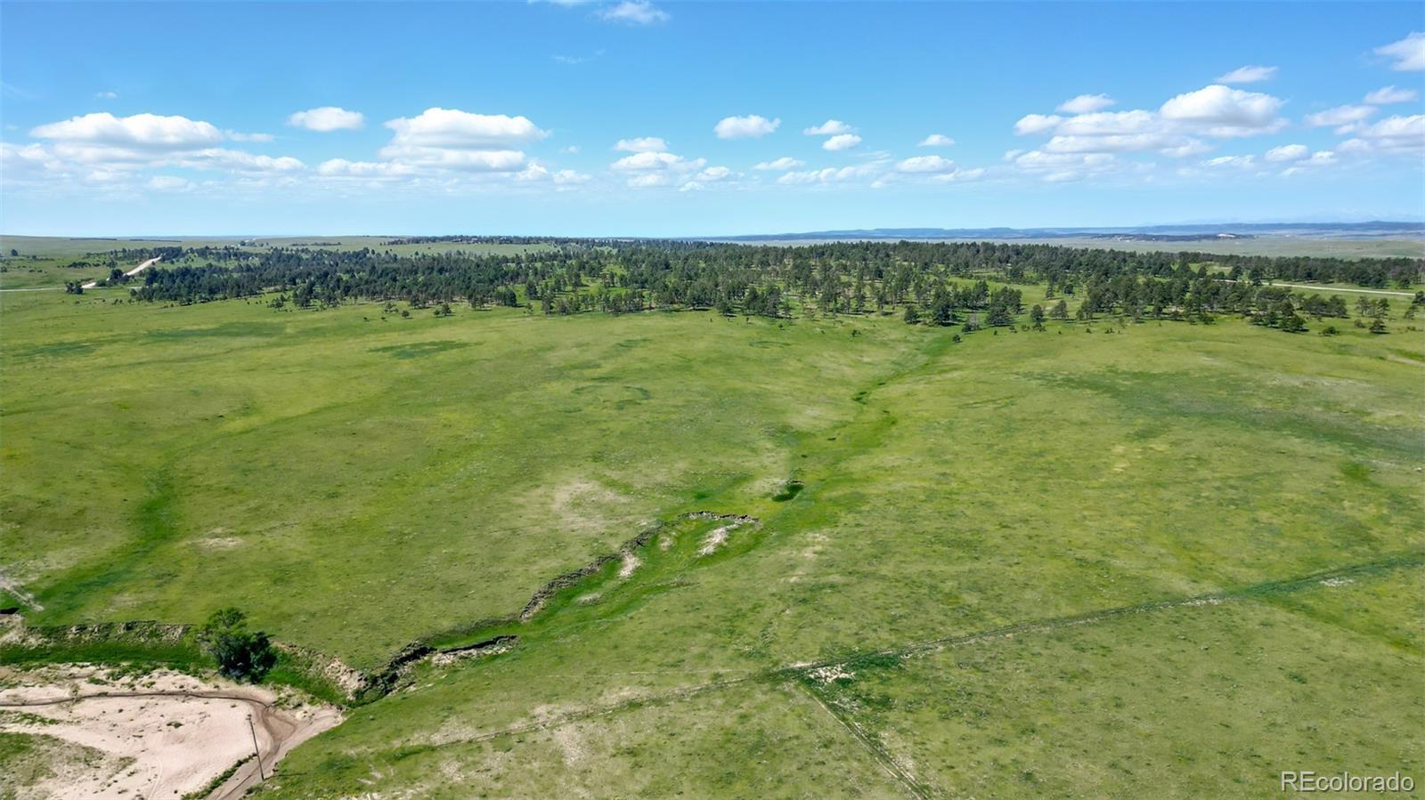 91 Parcel County Road, Unit 4 Ramah, CO 80832 - Photo 7 of 27 a view of a yard with an outdoor space