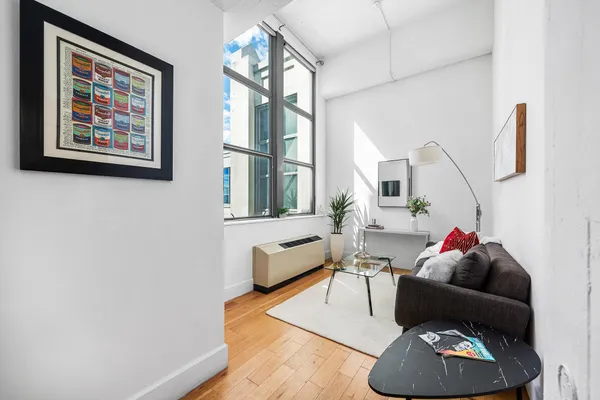 a living room with furniture and a potted plant
