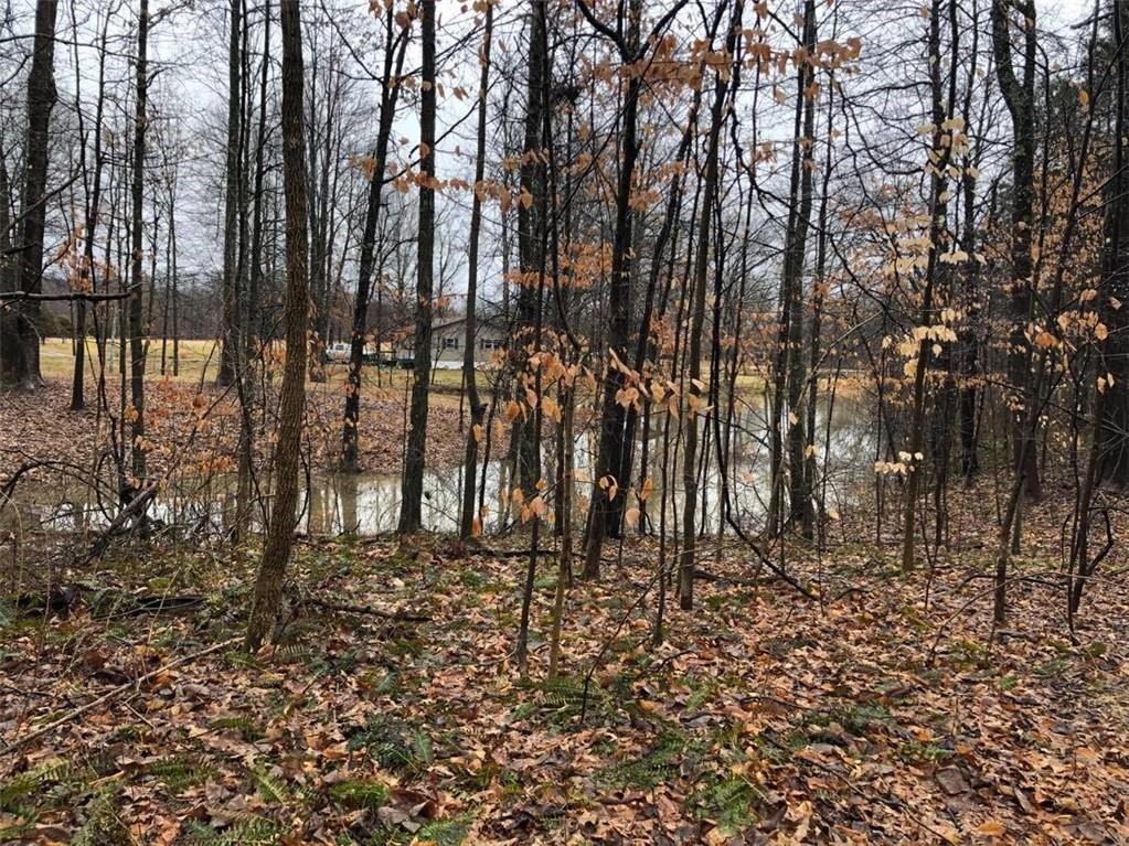3933 Goose Creek Road Freedom, IN 47431 - Photo 2 of 4