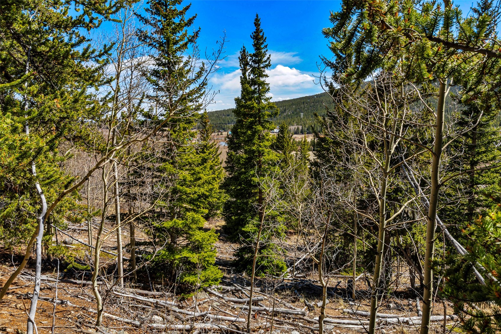 270 Co Road Alma, CO 80420 - Photo 40 of 47 Gallery Image 40