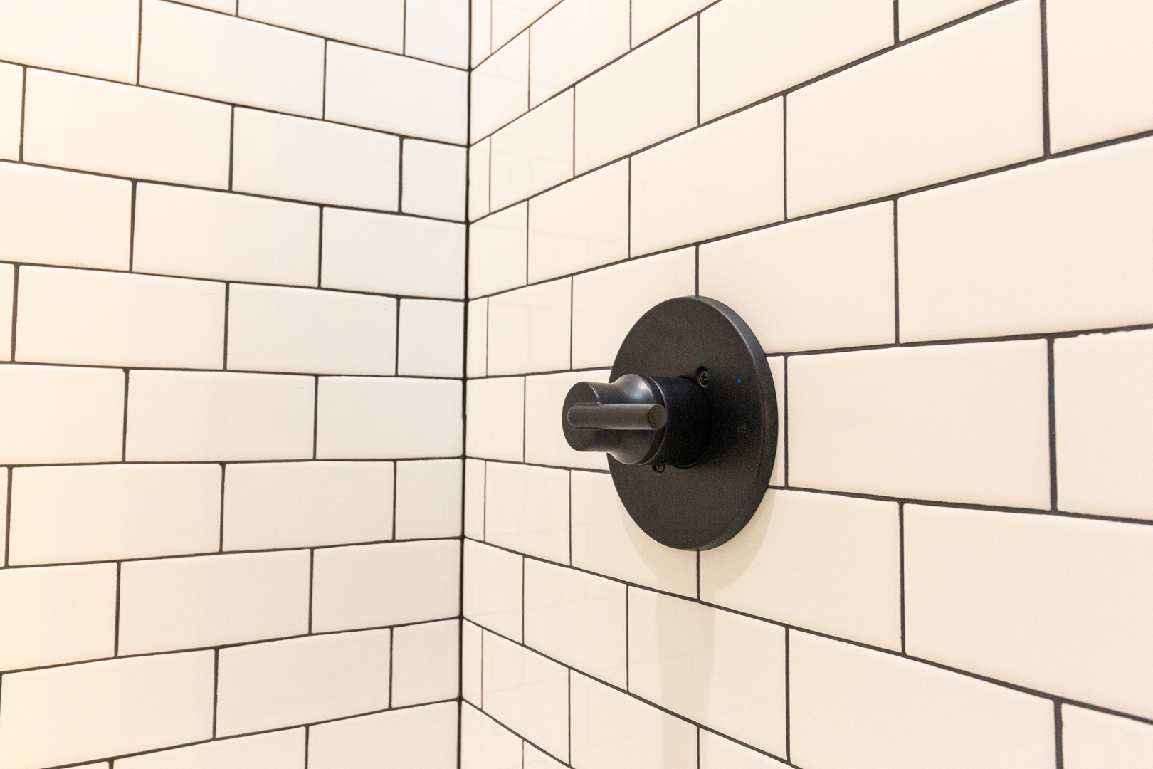 1714 North Spaulding Avenue, Unit 1F Chicago, IL 60647 - Photo 20 of 25 a close view of a sink and a shower