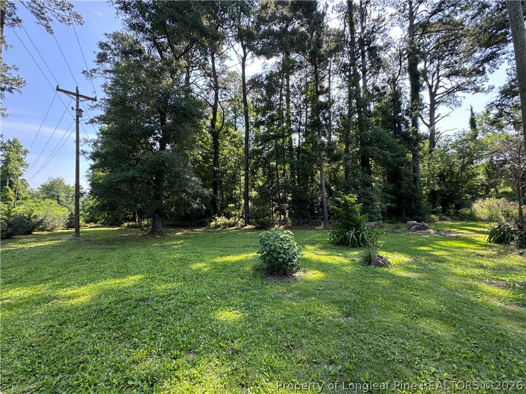2737 Ward Store Road Fairmont, NC 28340 - Photo 47 of 48