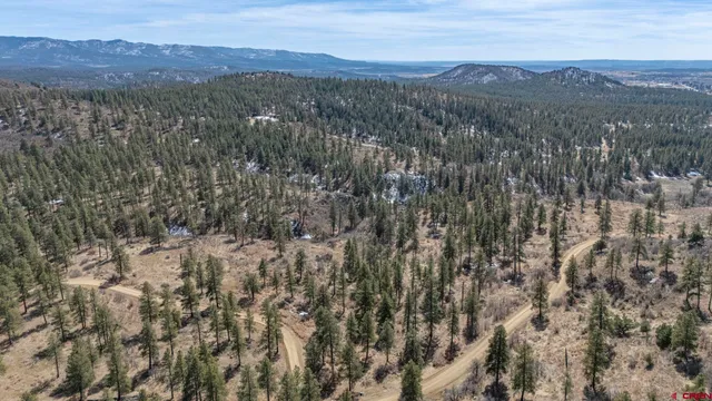 a view of city and mountain