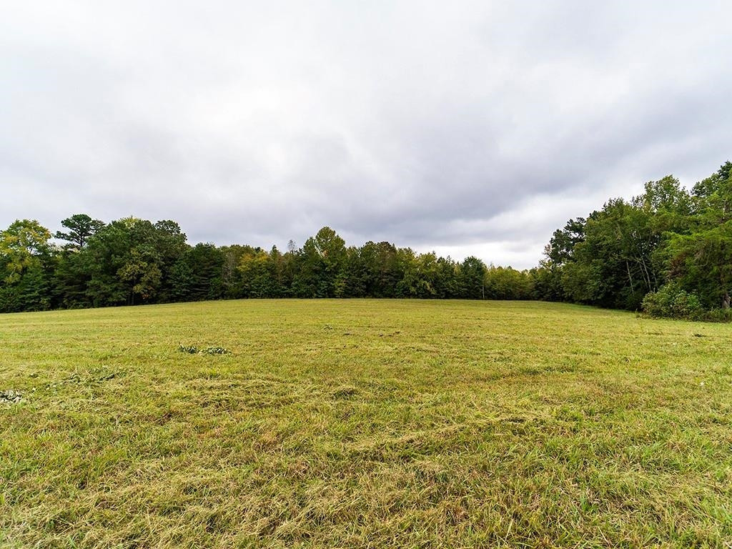 1630 Gerringer Mill Road Burlington, NC 27217 - Photo 11 of 32 Photo 11