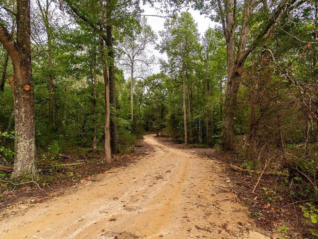 1630 Gerringer Mill Road Burlington, NC 27217 - Photo 7 of 32 Photo 7