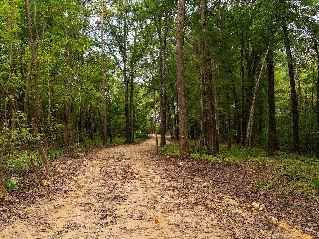 1630 Gerringer Mill Road Burlington, NC 27217 - Photo 8 of 32 Photo 8