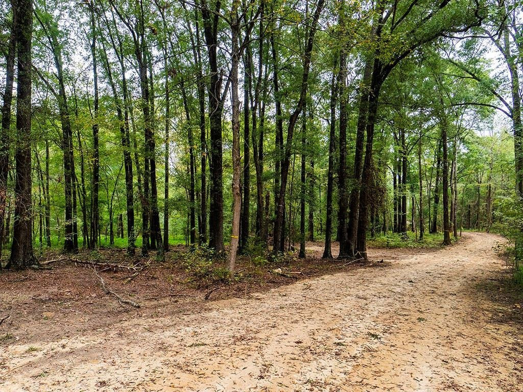 1630 Gerringer Mill Road Burlington, NC 27217 - Photo 9 of 32 Photo 9