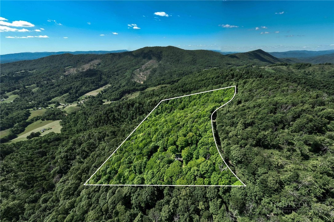 1260 Fork Ridge Road Zionville, NC 28698 - Photo 32 of 50