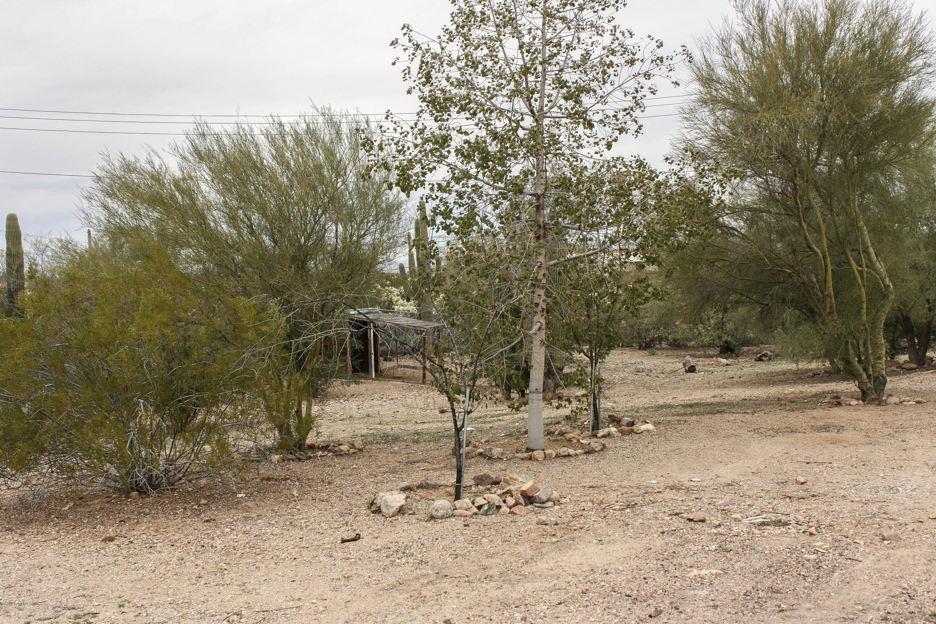 3261 North Grannen Road Tucson, AZ 85745 - Photo 16 of 50 Gallery Image 16