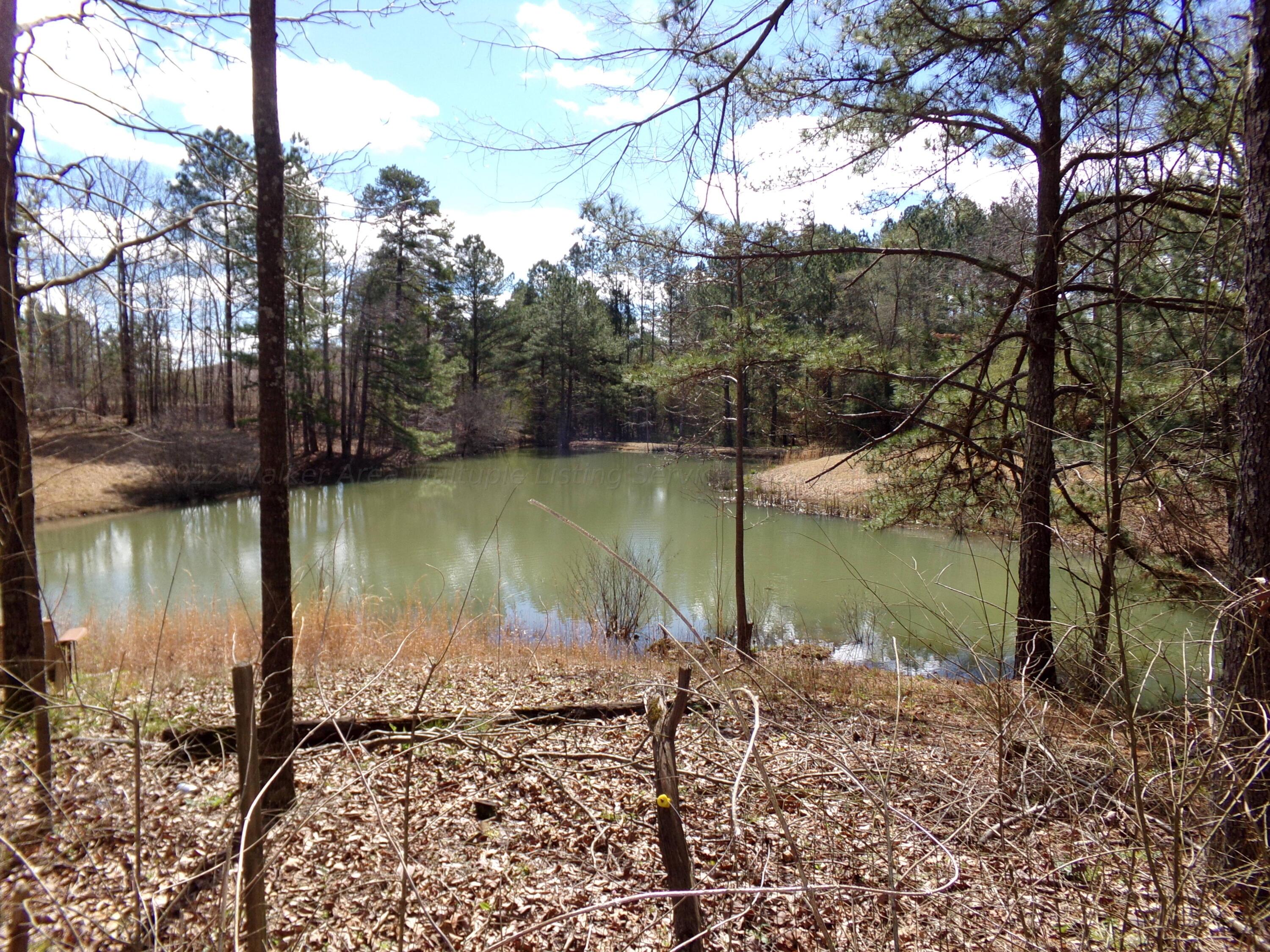 239 Ada Drummond Road Jasper, AL 35504 - Photo 7 of 10 Gallery Image 7