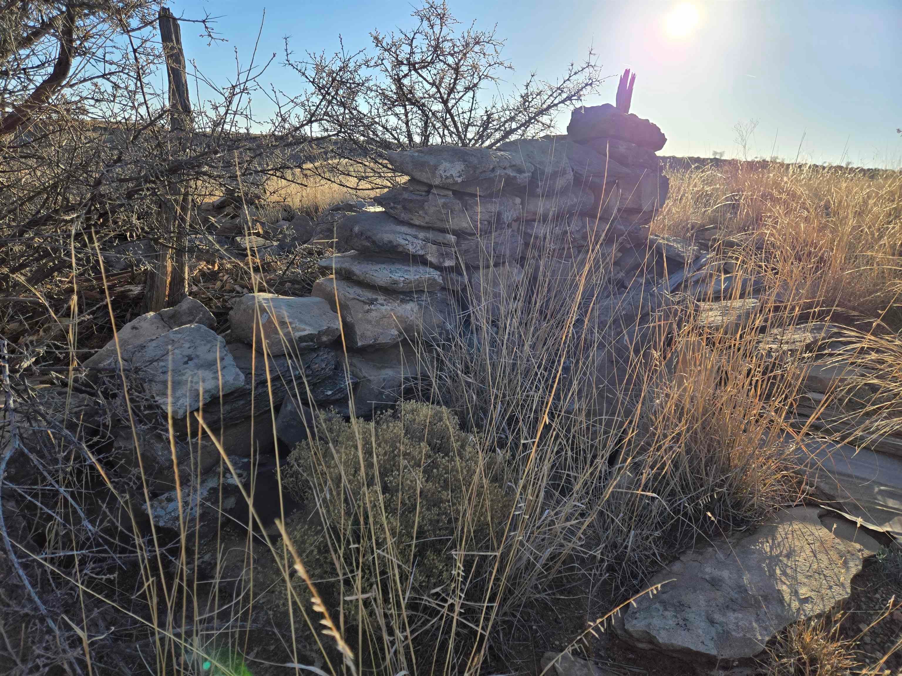5344 Red Lake Road Taiban, NM 88134 - Photo 60 of 89 Gallery Image 60