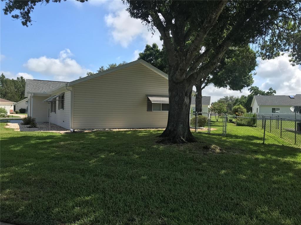 11879 Southwest 137th Loop Dunnellon, FL 34432 - Photo 5 of 37 a view of a backyard with large tree