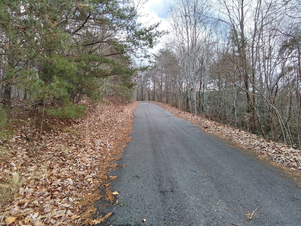 1500 Bear Mountain Road Murphy, NC 28906 - Photo 3 of 5