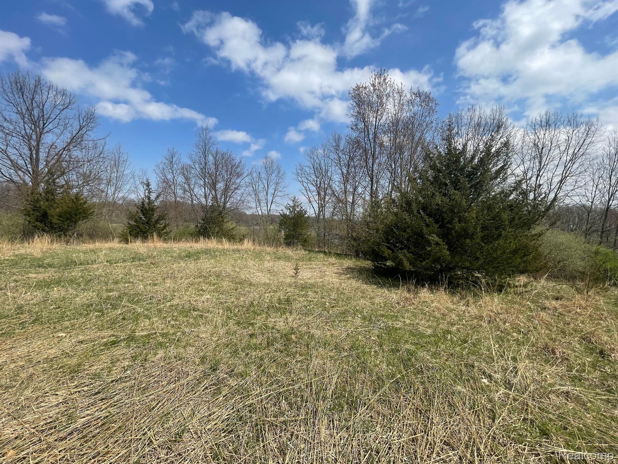 0 White Lake Road Fenton, MI 48430 - Photo 10 of 12 Gallery Image 10