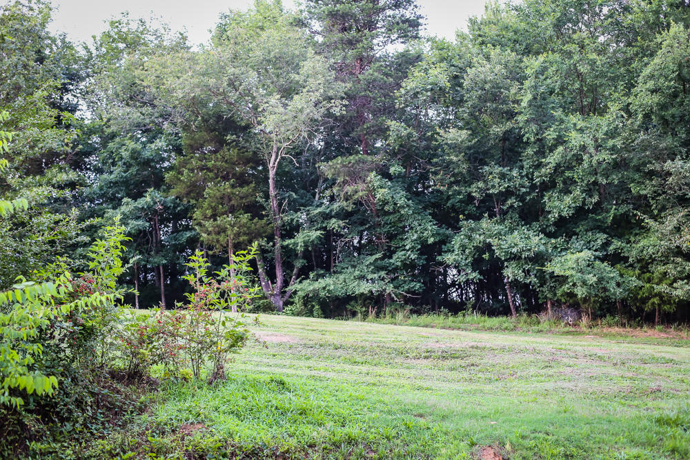 1790 Pine Grove Providence Road Loudon, TN 37774 - Photo 9 of 11 1790 Outside