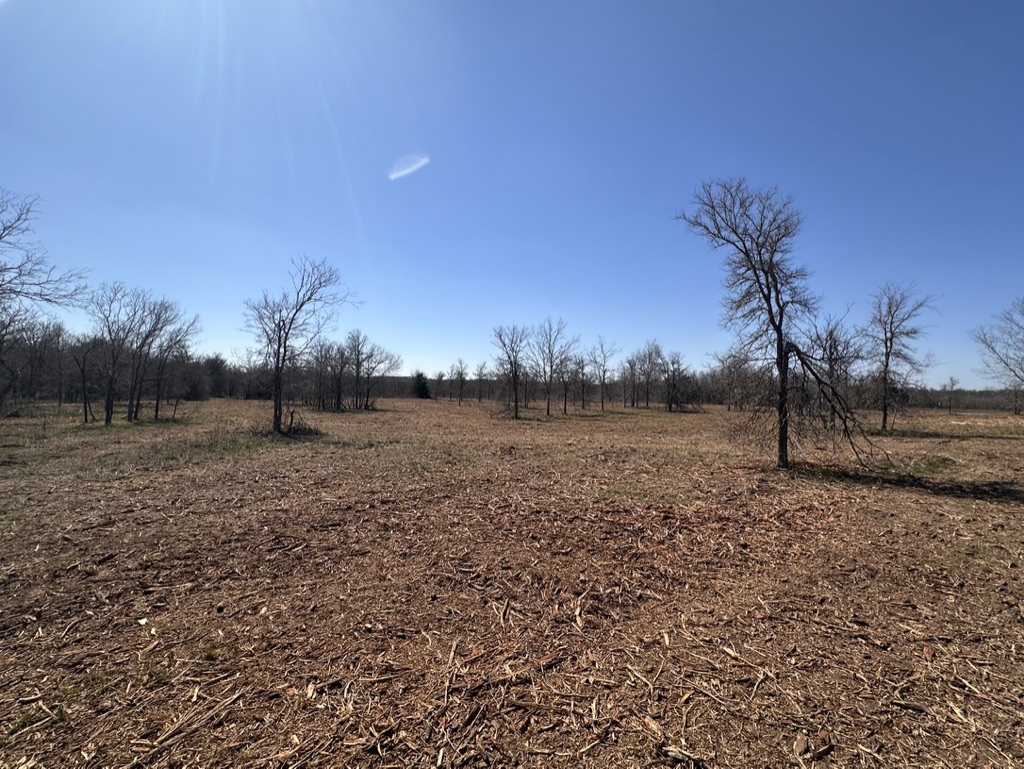 18101 Littig Road Manor, TX 78653 - Photo 17 of 35 Gallery Image 17