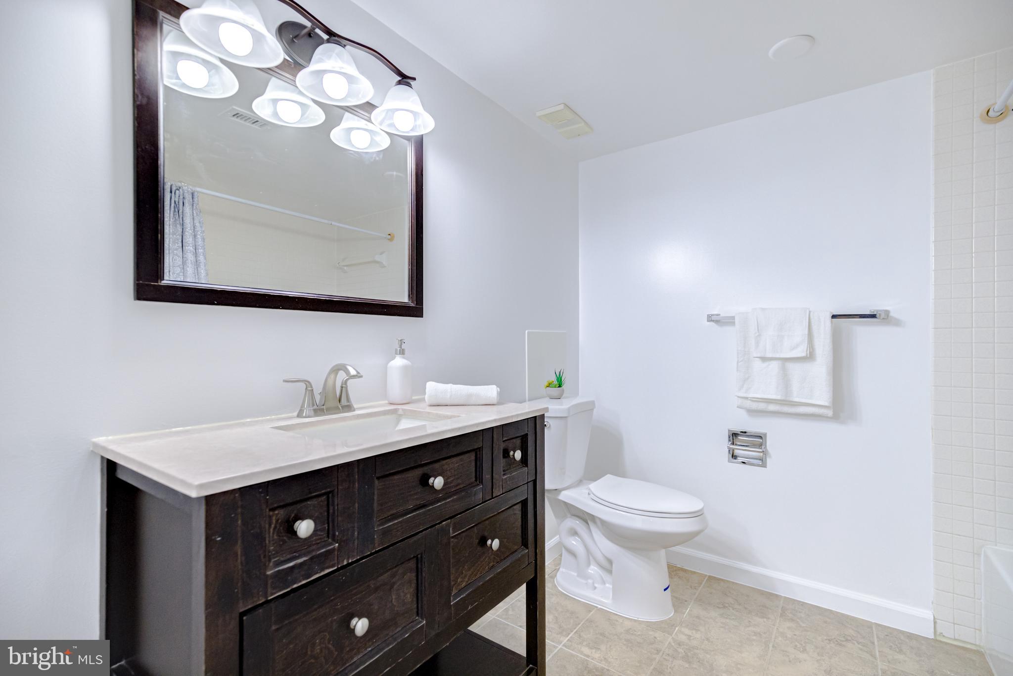 5501 Seminary Road, Unit 307S Falls Church, VA 22041 - Photo 13 of 32 Common Bath