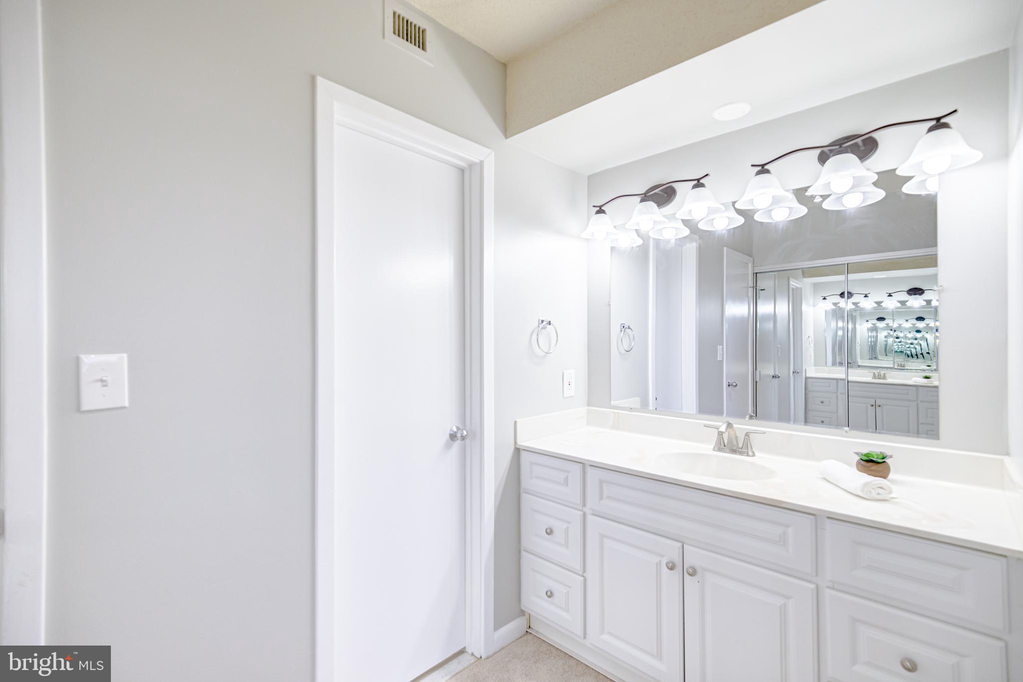 5501 Seminary Road, Unit 307S Falls Church, VA 22041 - Photo 21 of 32 Vanity
