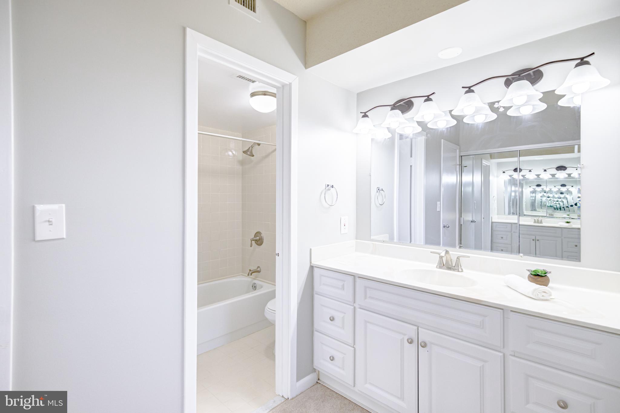 5501 Seminary Road, Unit 307S Falls Church, VA 22041 - Photo 22 of 32 Vanity / Master Bath