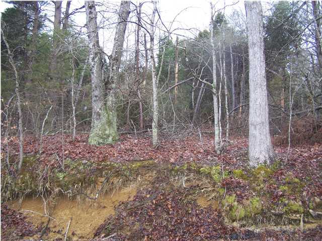 0 Logsdon Cemetery Road Clarkson, KY 42726 - Photo 1 of 1 Primary Photo