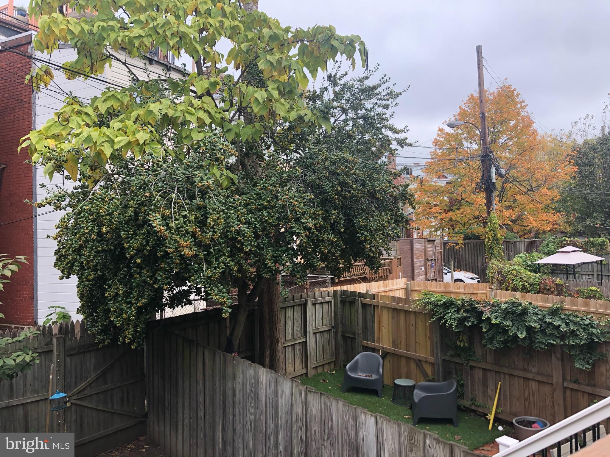 612 C Street Northeast Washington, DC 20002 - Photo 18 of 22 Huge yard, nice greenery around
