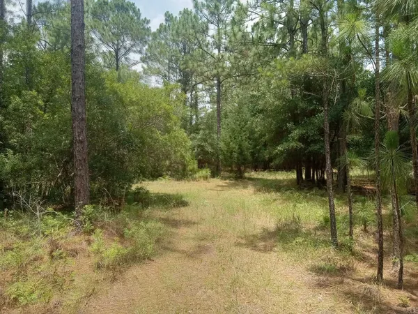 $25,000 | Lot 1038 Kilsock Drive, Georgetown, SC 29440