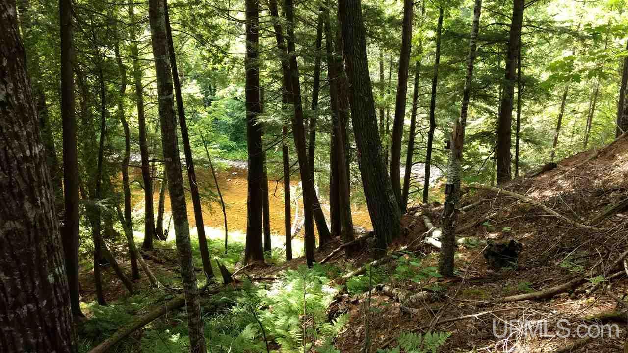 Tbd Tbd Big Bay Road Skanee, MI 49962 - Photo 38 of 50
