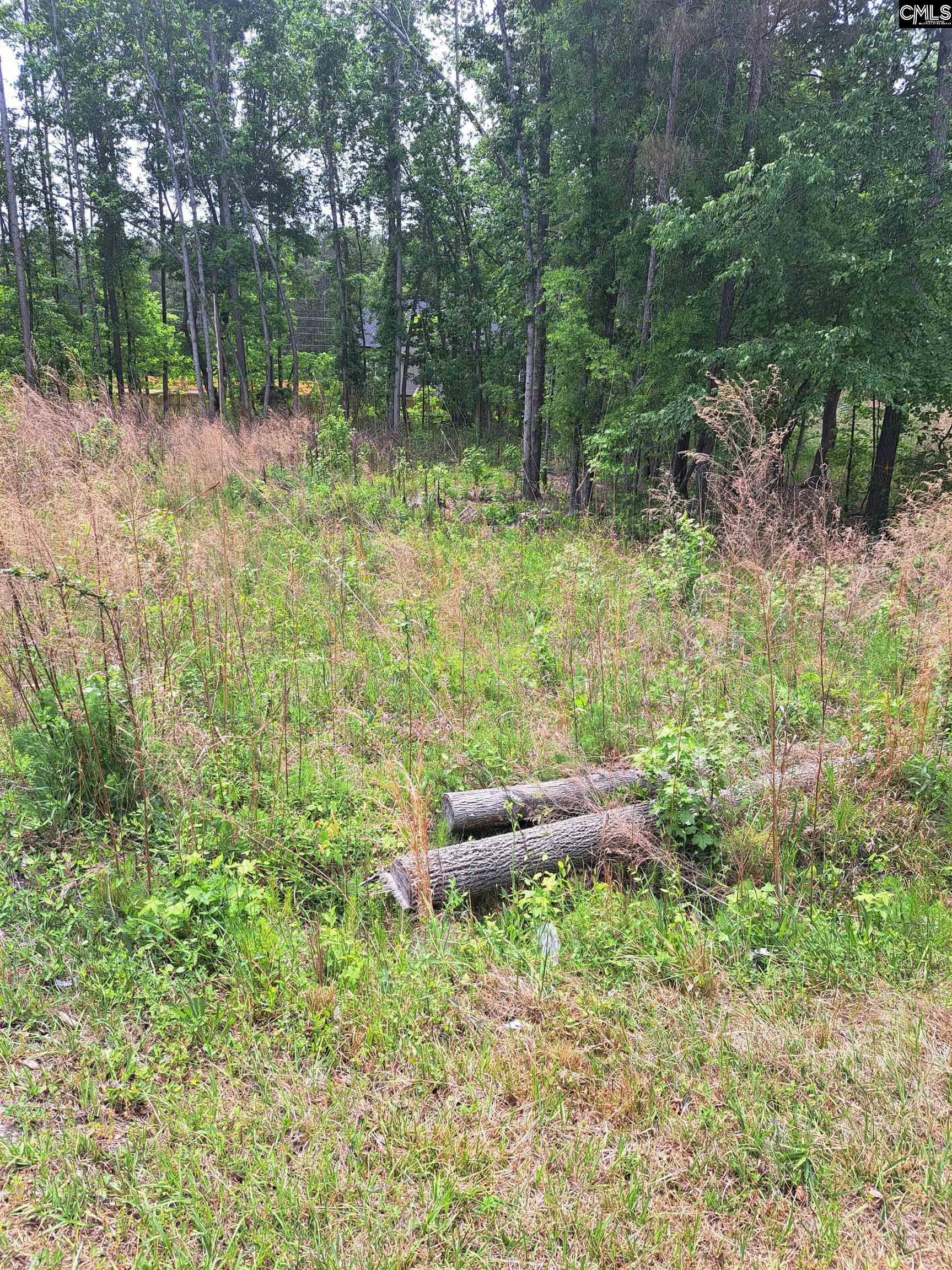 460 Grover Wilson Road Blythewood, SC 29016 - Photo 12 of 19