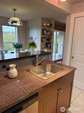 a kitchen with a sink and a potted plant