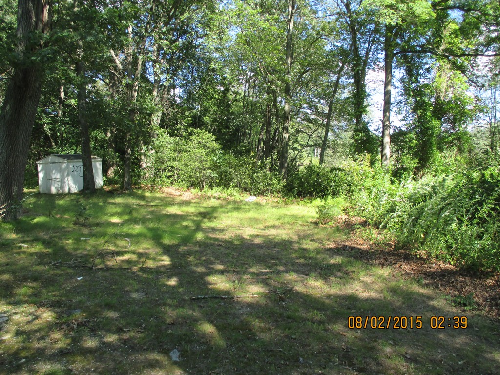 48 Shawsheen Road Billerica, MA 01821 - Photo 16 of 18 a view of outdoor space with trees all around