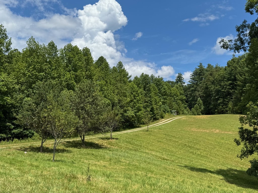 89 Simmons Ridge Mineral Bluff, GA 30559 - Photo 11 of 82 Apple and Pear Trees