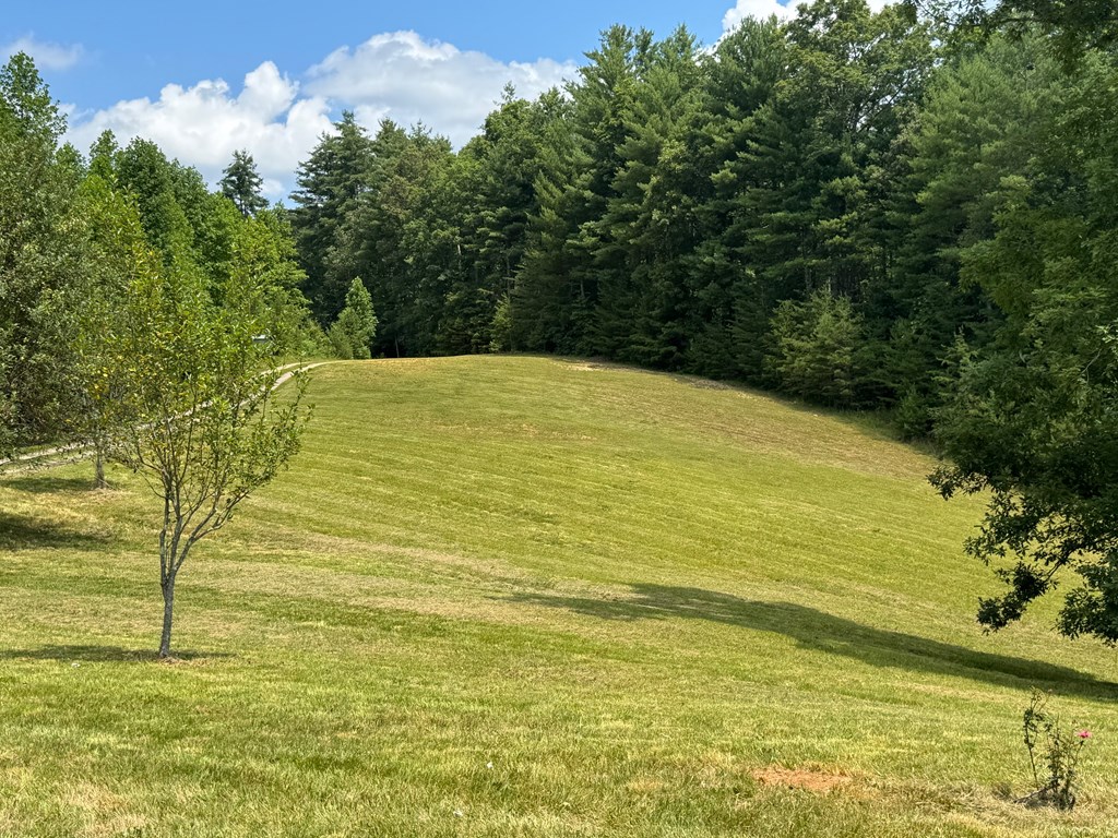 89 Simmons Ridge Mineral Bluff, GA 30559 - Photo 13 of 82 Pasture