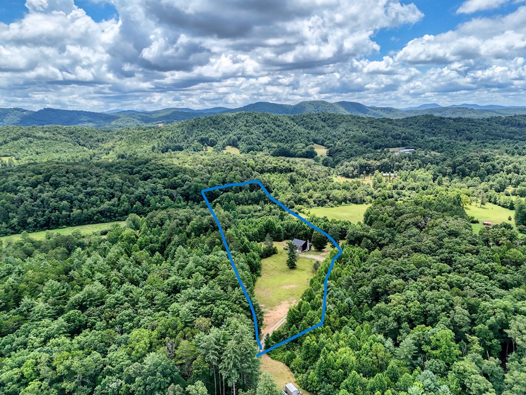 89 Simmons Ridge Mineral Bluff, GA 30559 - Photo 4 of 82 Lines are Approximate