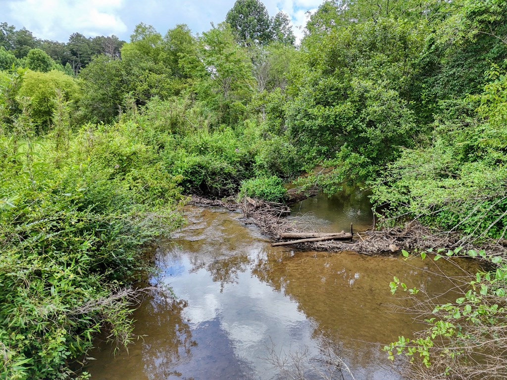 89 Simmons Ridge Mineral Bluff, GA 30559 - Photo 5 of 82 a view of a lake view with houses