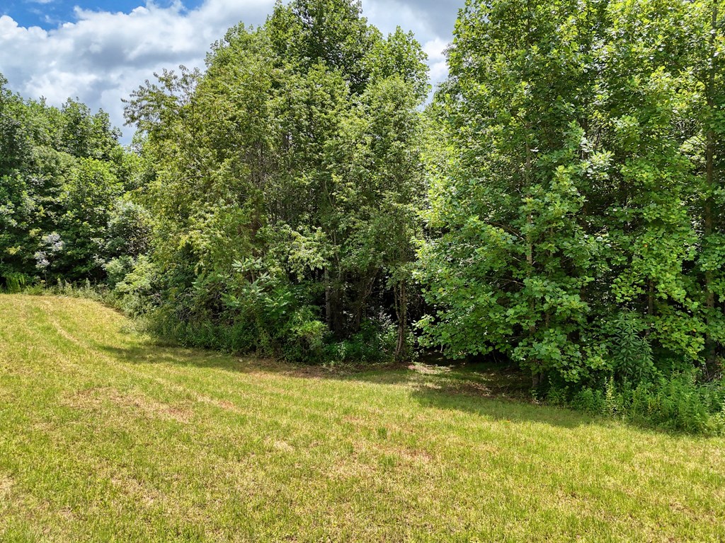 89 Simmons Ridge Mineral Bluff, GA 30559 - Photo 62 of 82 a view of yard with swimming pool and green space