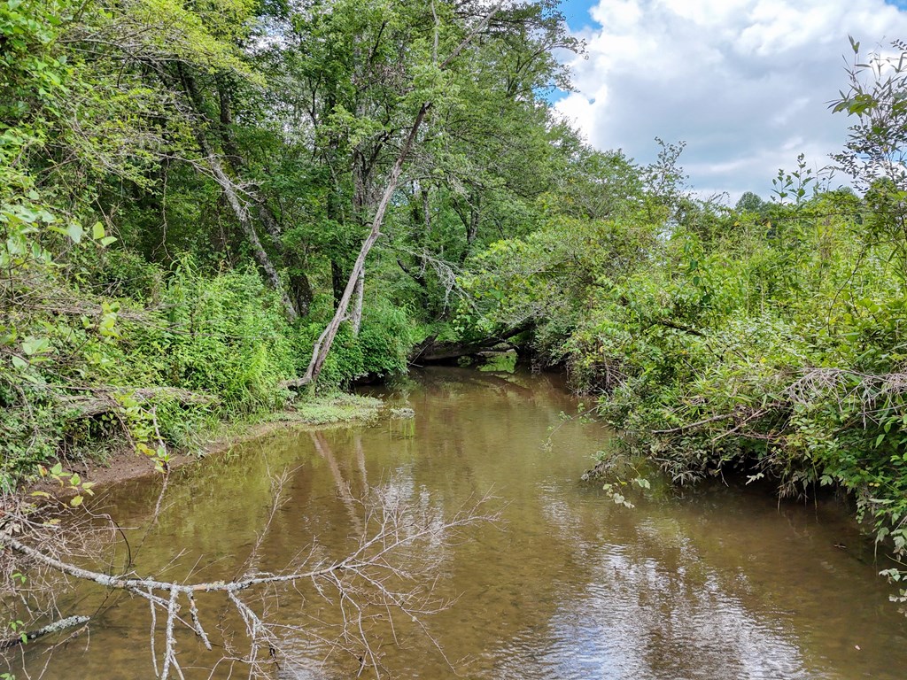 89 Simmons Ridge Mineral Bluff, GA 30559 - Photo 66 of 82 a view of a lake with a yard