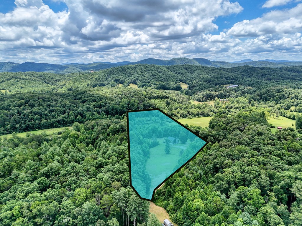 89 Simmons Ridge Mineral Bluff, GA 30559 - Photo 68 of 82 a view of a yard with a garden