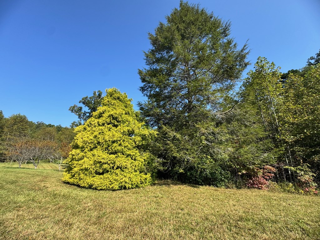 89 Simmons Ridge Mineral Bluff, GA 30559 - Photo 71 of 82