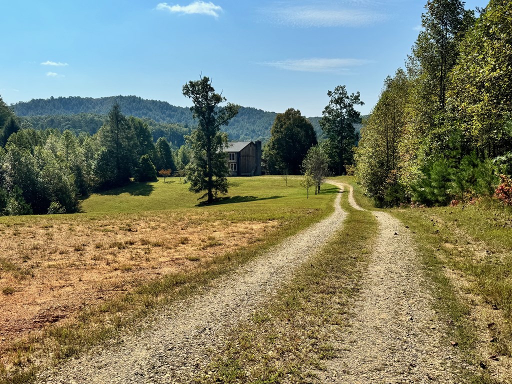 89 Simmons Ridge Mineral Bluff, GA 30559 - Photo 77 of 82 a view of a yard with a house