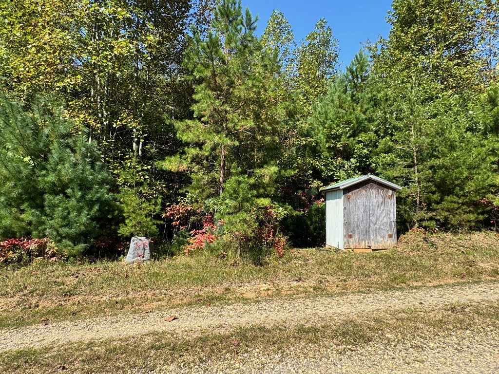 89 Simmons Ridge Mineral Bluff, GA 30559 - Photo 82 of 82 a view of a wooden house with a yard