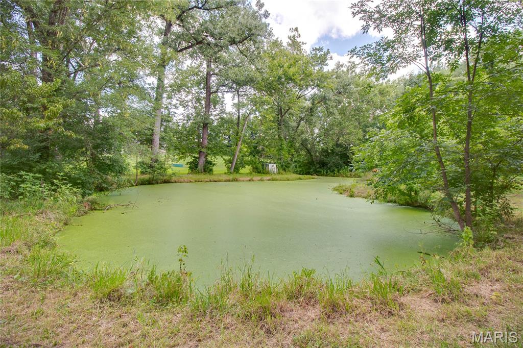 682 Northeast 800 Street Greenfield, IL 62044 - Photo 59 of 65