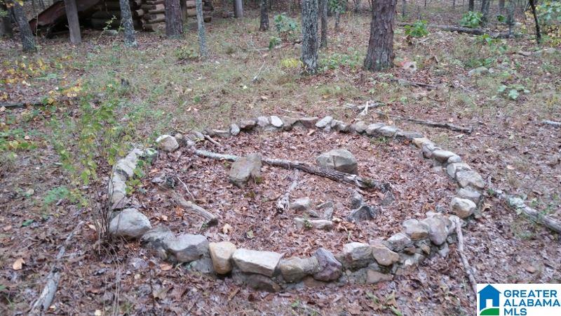 793 County Road Centre, AL 35960 - Photo 14 of 32