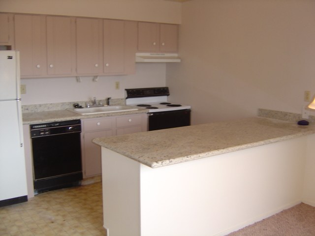 3003 Cashill Boulevard Reno, NV 89509 - Photo 4 of 6 Photo 4