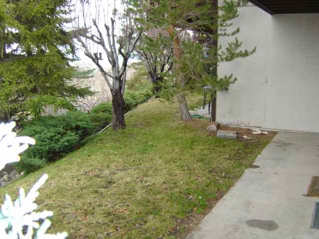 3003 Cashill Boulevard Reno, NV 89509 - Photo 5 of 6 Photo 5