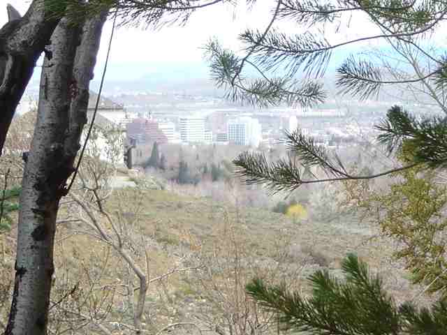 3003 Cashill Boulevard Reno, NV 89509 - Photo 6 of 6 Photo 6